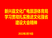 新兴县文化广电旅游体育局学习贯彻扎实推进文化强省建设大会精神